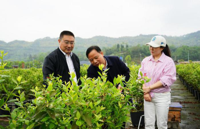 图片2.png 图片2.png